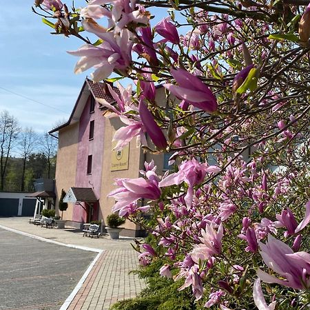 Obiekt "Czarny Rycerz" Aparthotel Jastrzębie Zdrój Kültér fotó